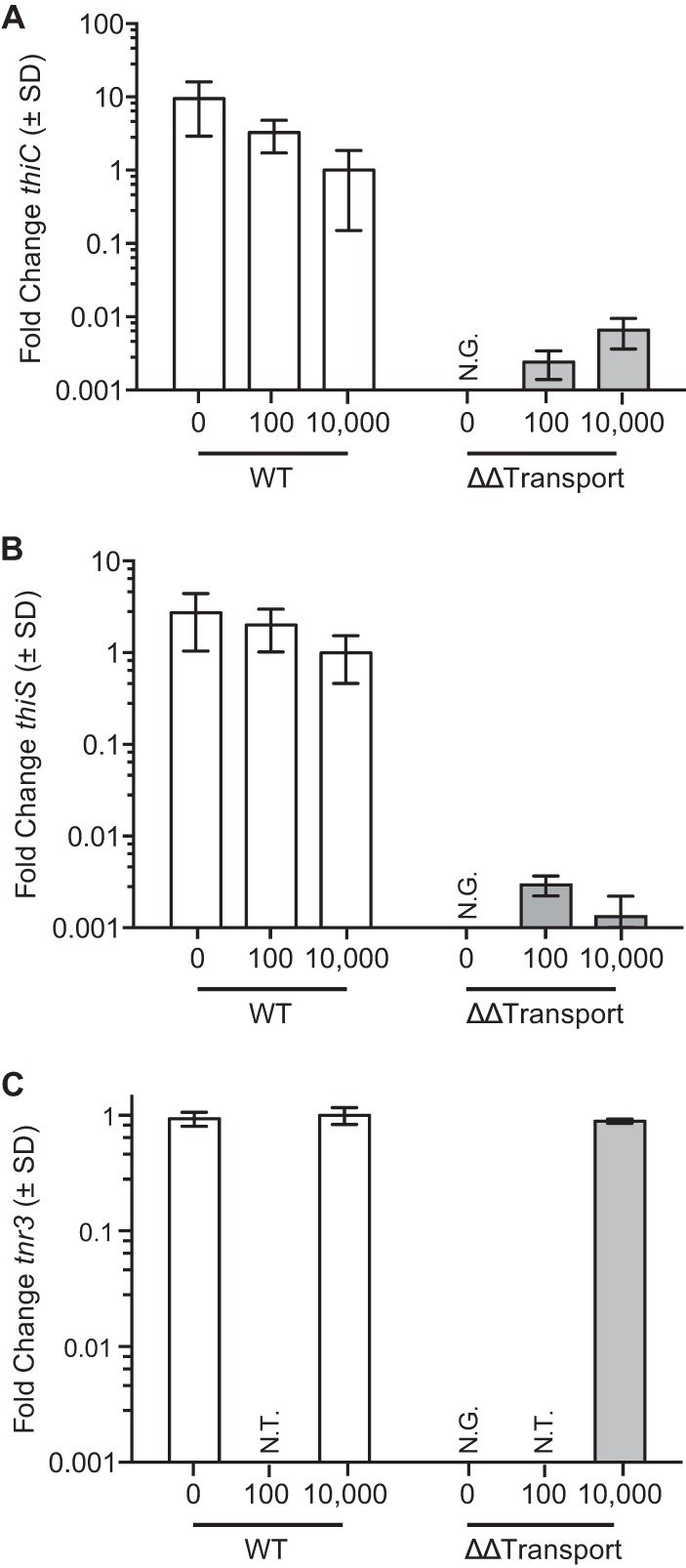 FIG 3 