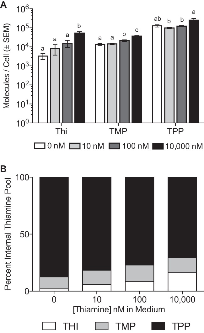 FIG 5 