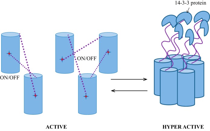 Figure 5.