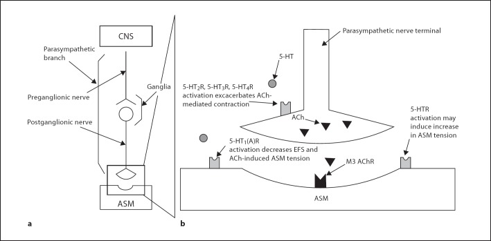 Fig. 10