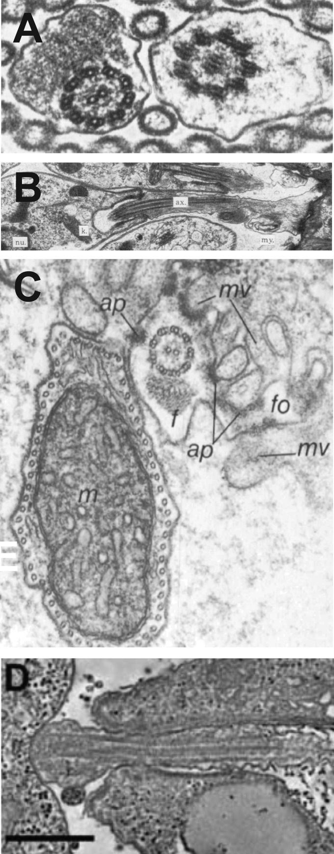 FIG 3