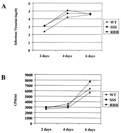 FIG. 5
