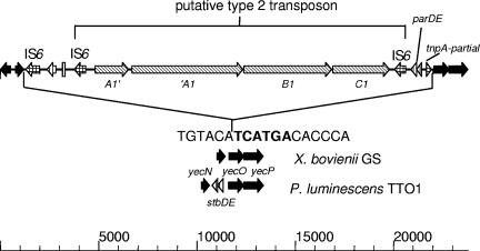 FIG. 7.