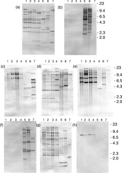 FIG. 6.