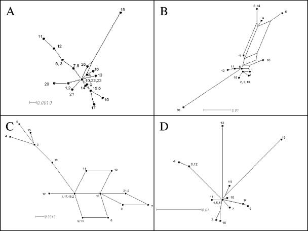 FIG. 2.