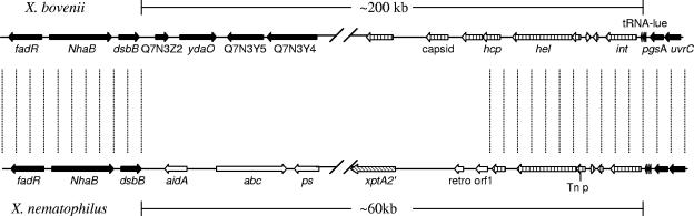 FIG. 5.