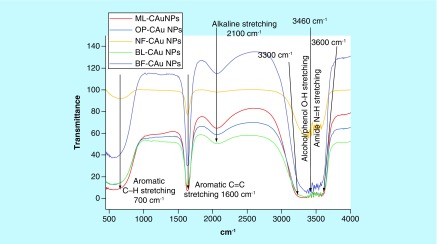 Figure 3. 