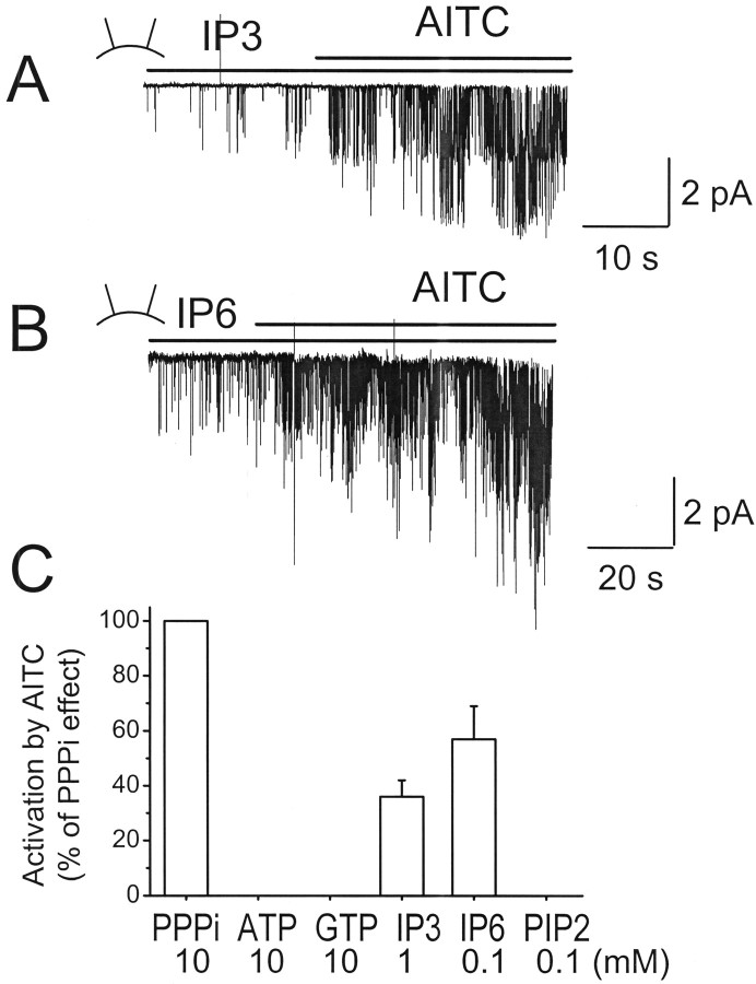 Figure 7.