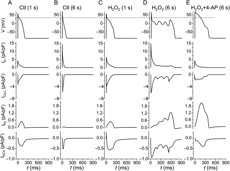 Figure 4