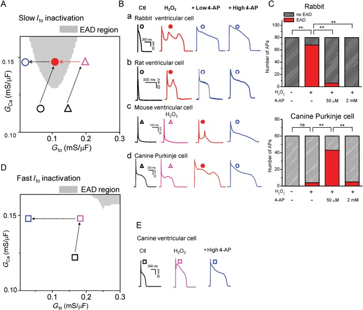 Figure 6