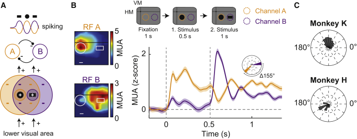 Figure 2