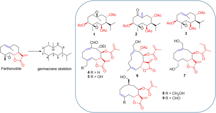 FIGURE 1