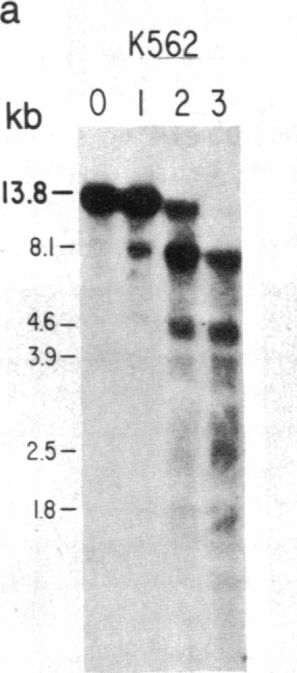 graphic file with name pnas00359-0027-a.jpg