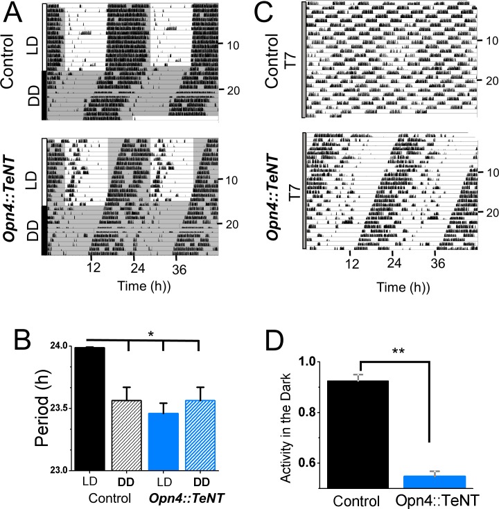 Fig 4