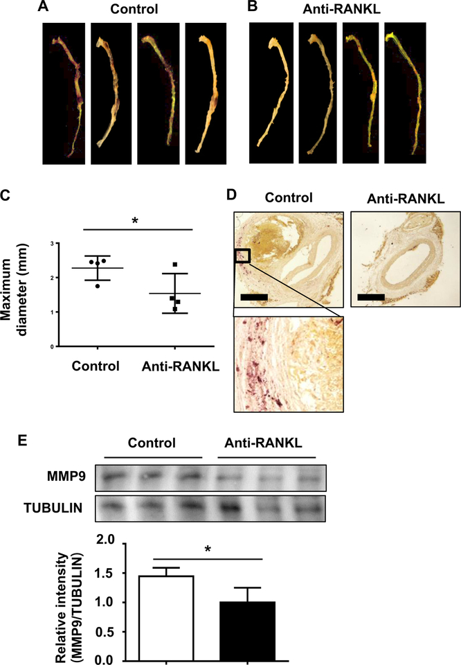 Fig 4.