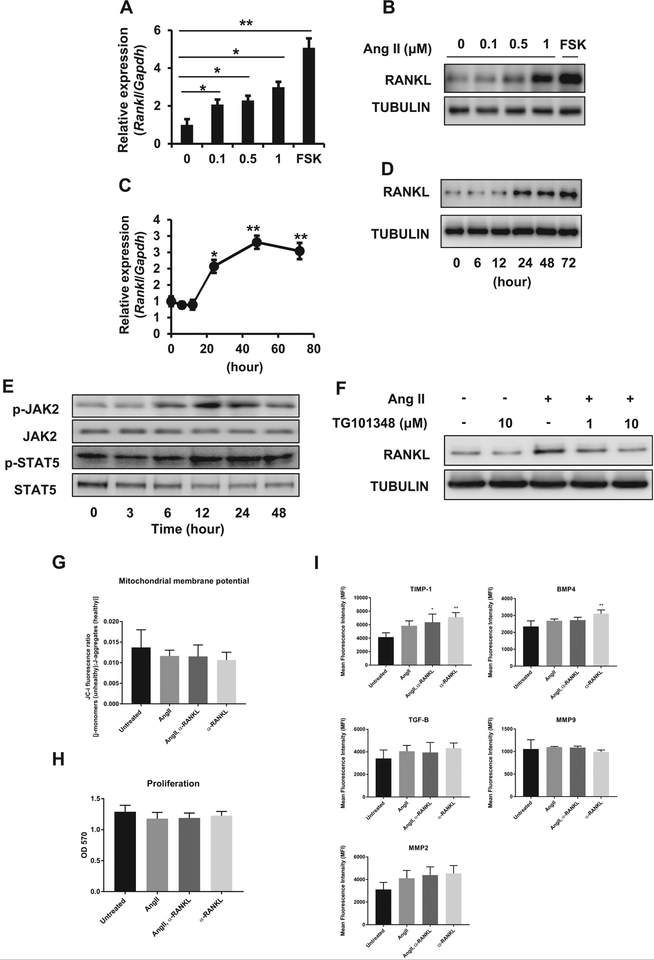 Fig 2.