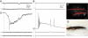 Fig. 6.