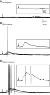 Fig. 9.