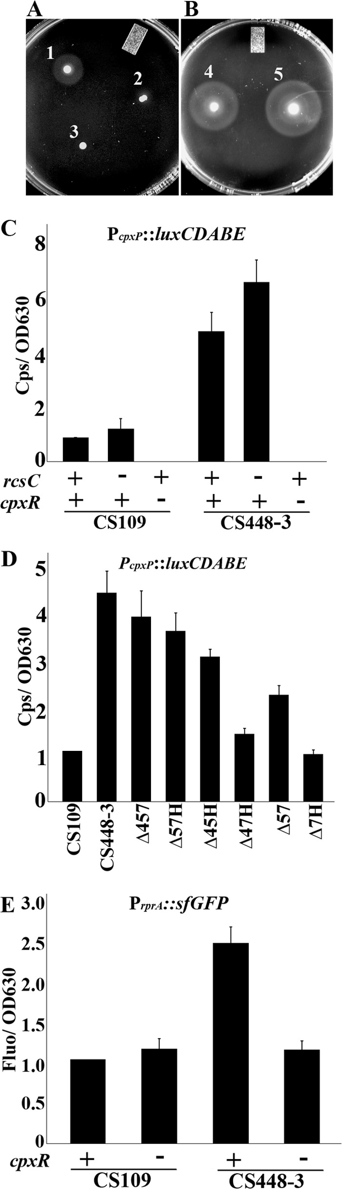 Fig 4