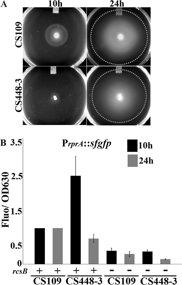 Fig 3