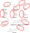 Fig. (1)
