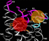 Fig. (5)