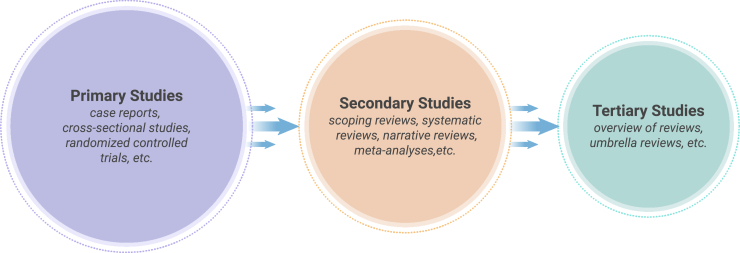 Figure 1