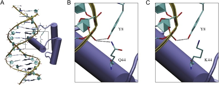 Figure 6