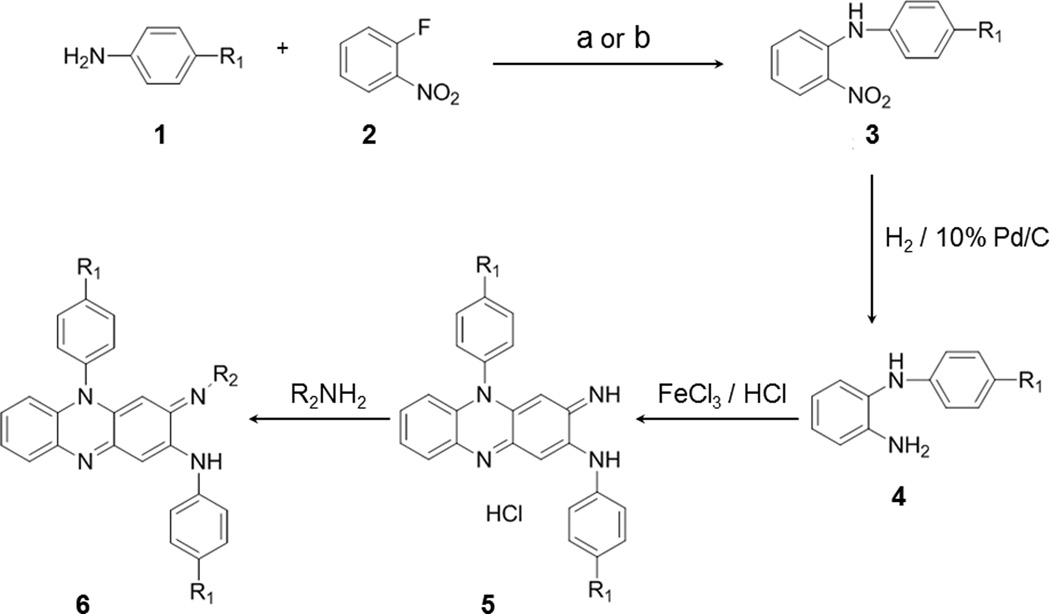 Scheme 1