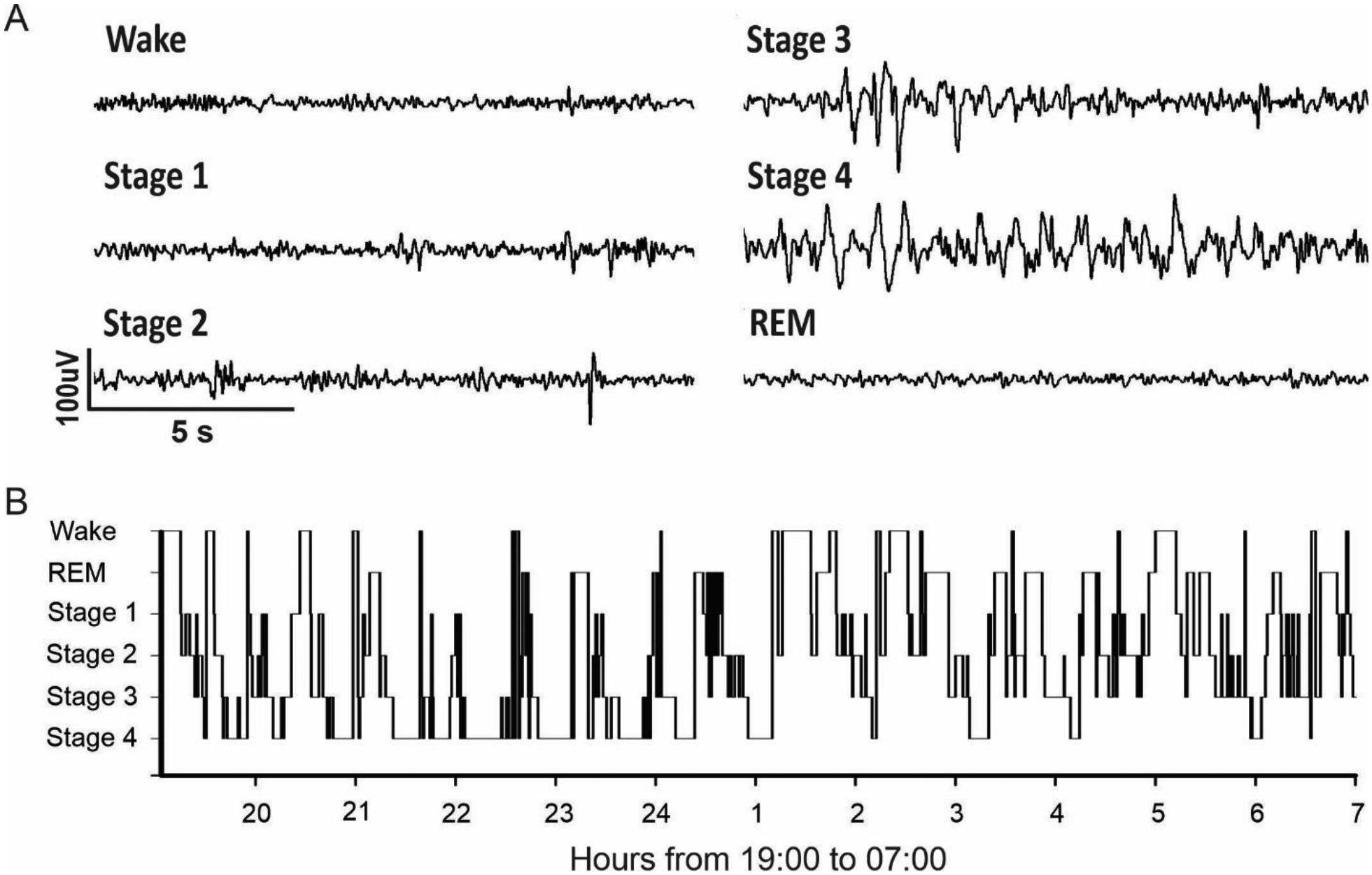 Figure 3: