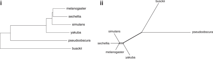 FIG. 10.