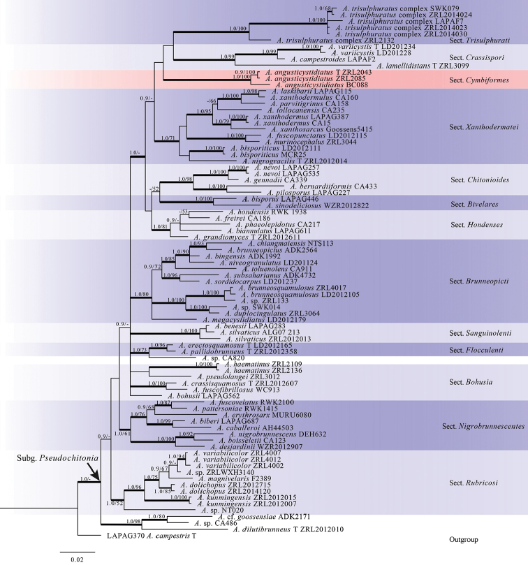 Figure 1.