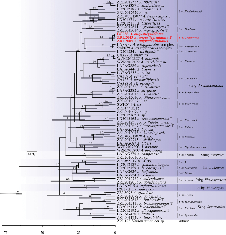 Figure 2.