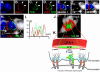 Fig. (5)