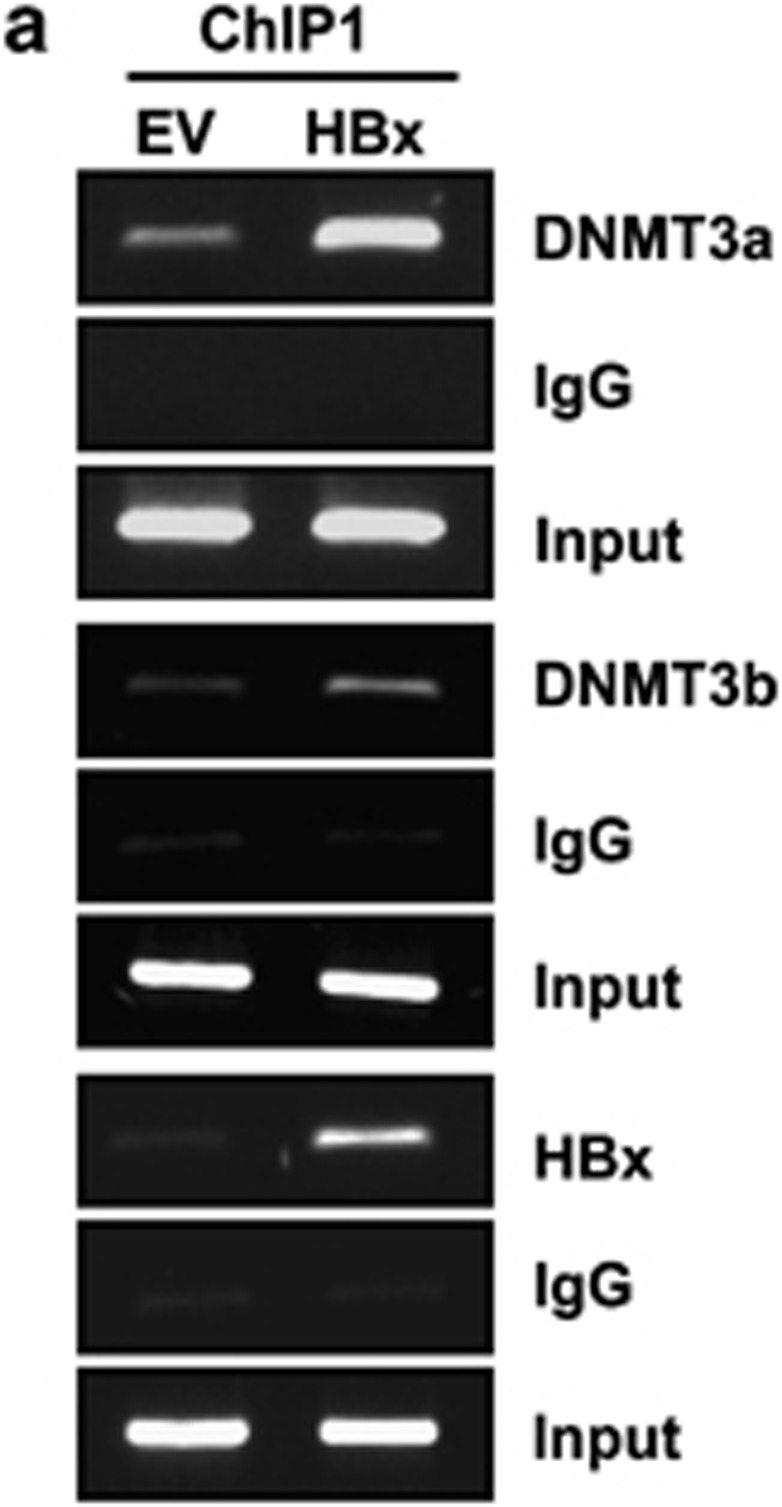 Figure 4a