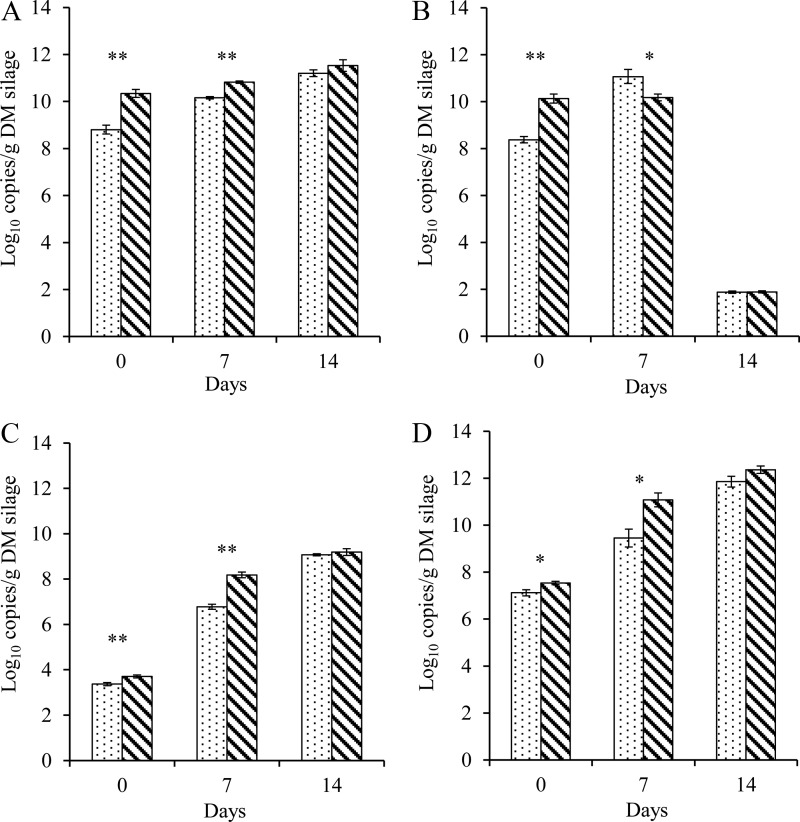 FIG 2