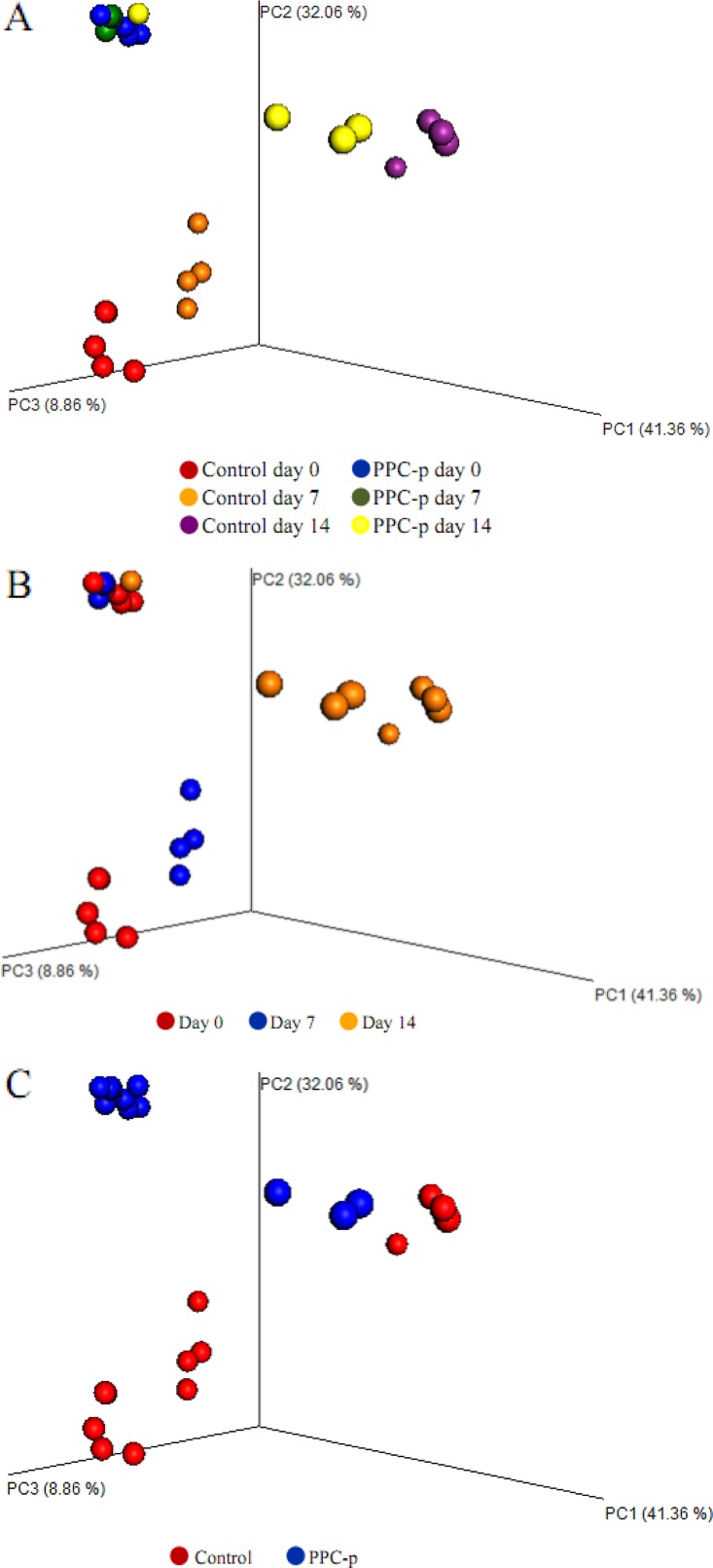 FIG 4