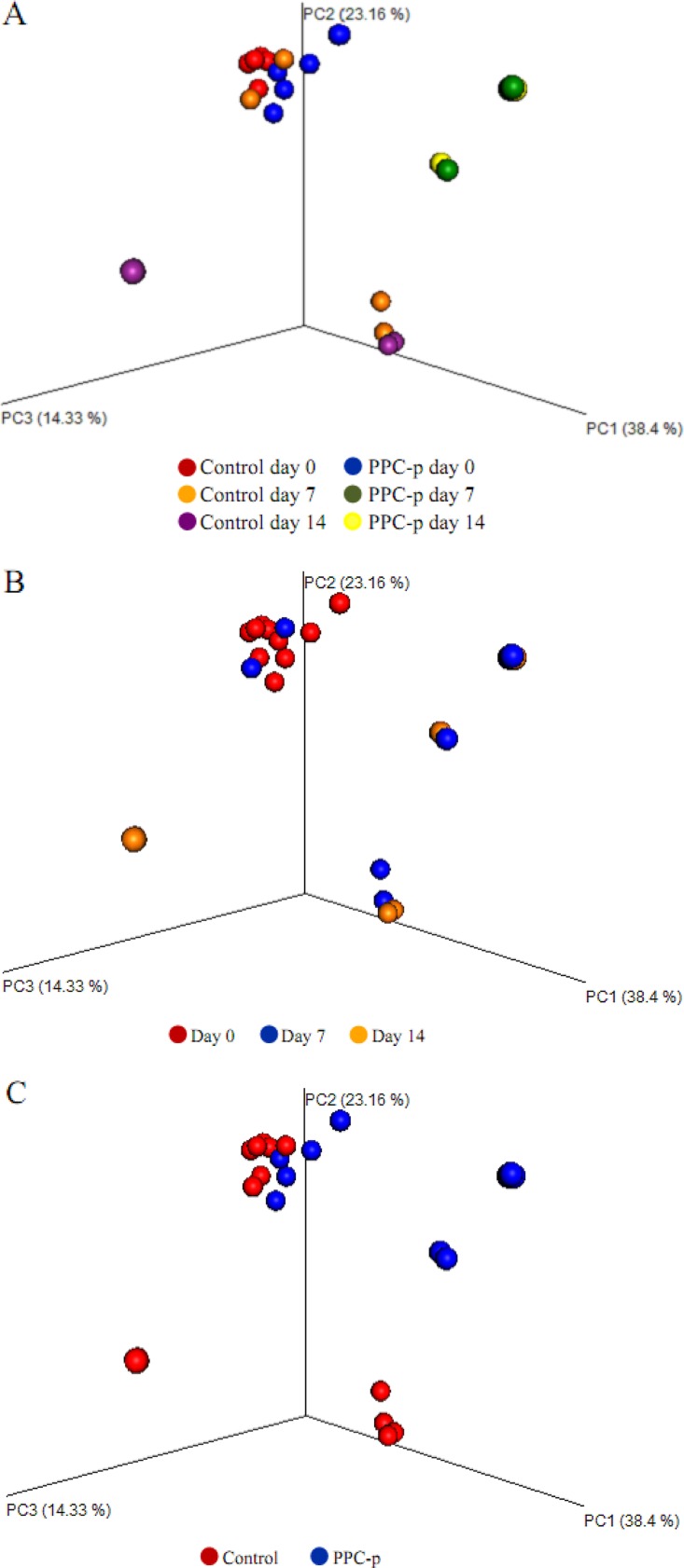 FIG 6