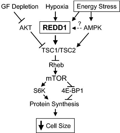 FIG. 8.