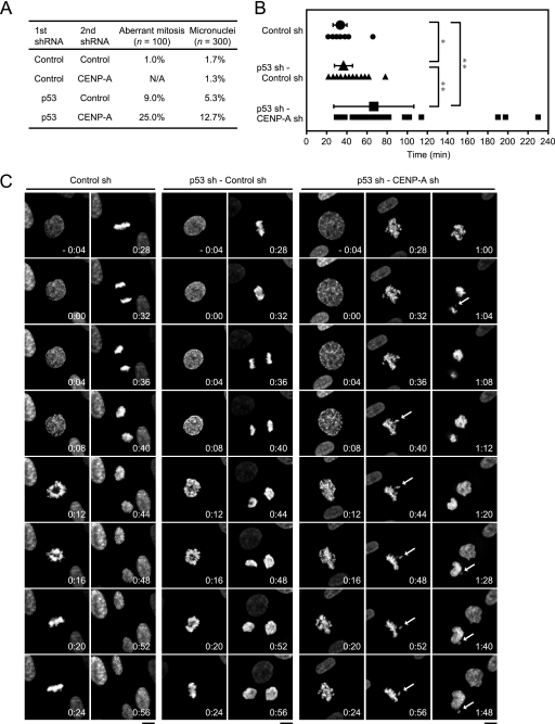 FIG. 8.