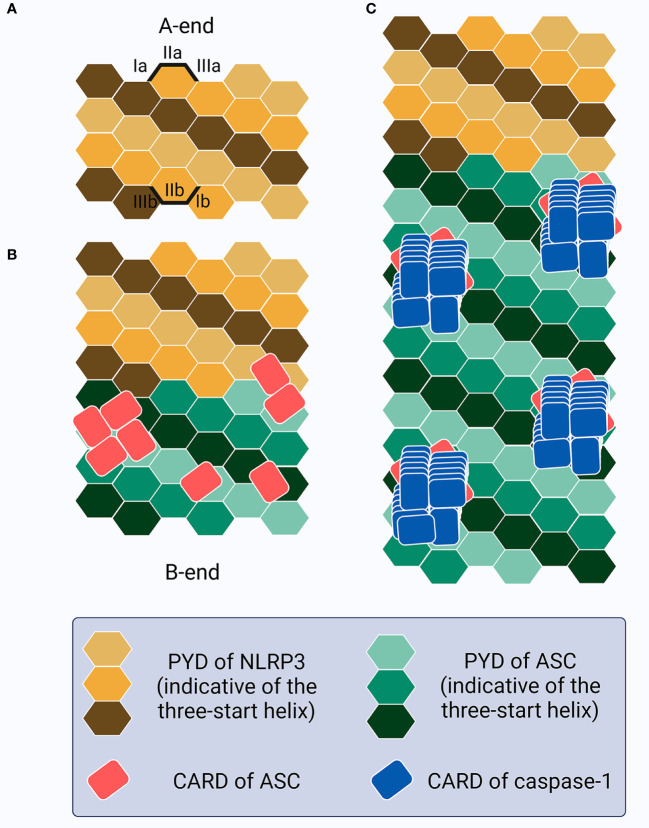 Figure 3