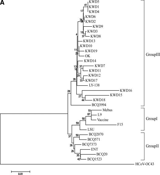 FIG.3.