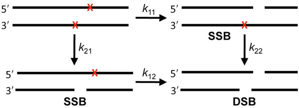 Scheme 3