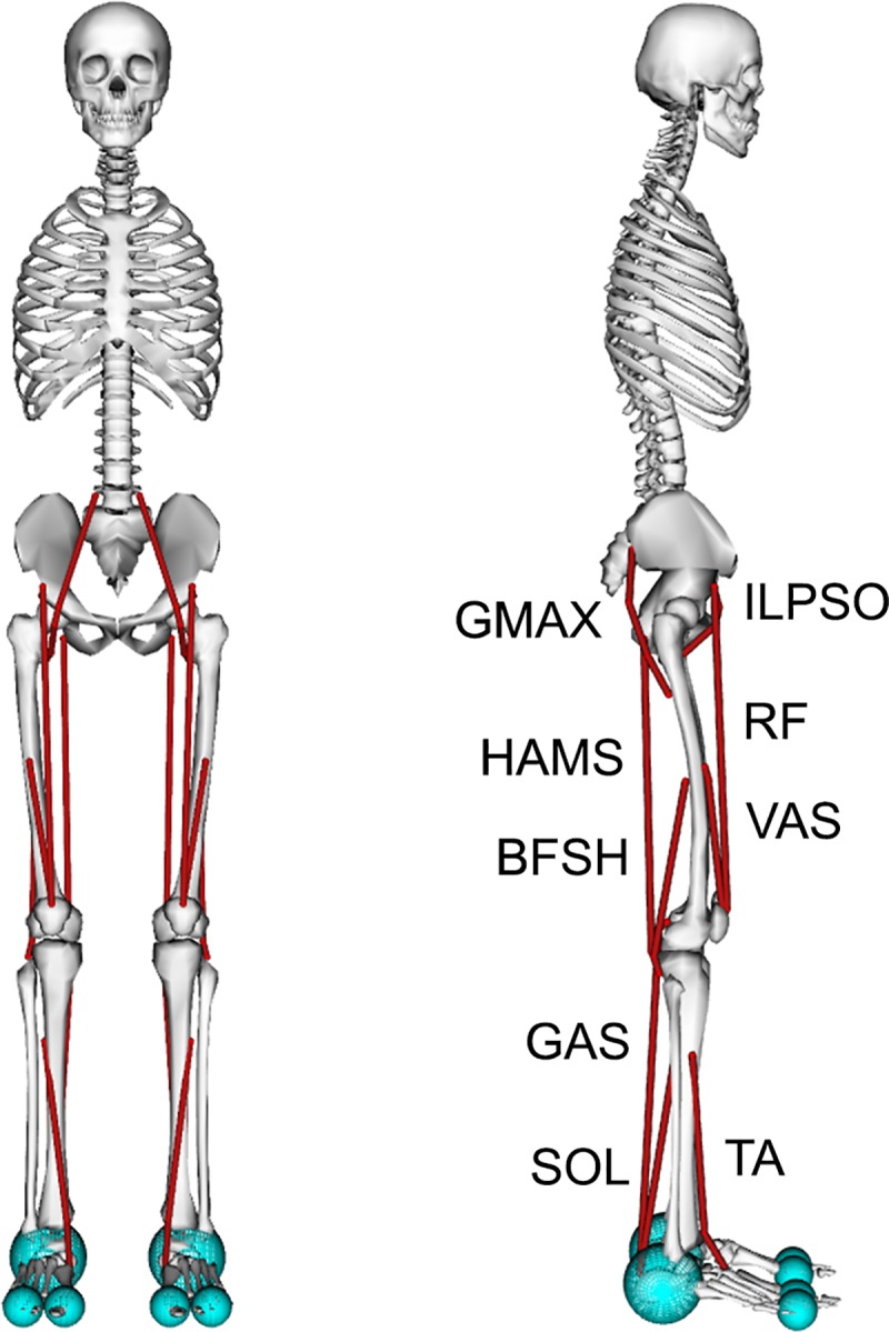 Fig 2