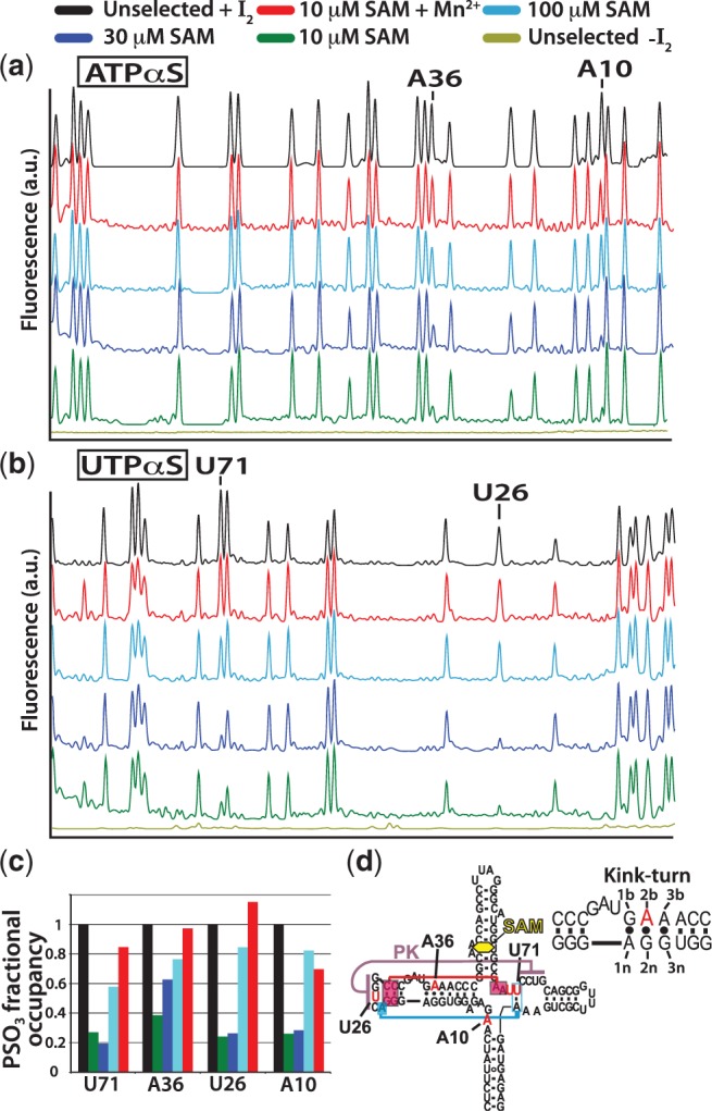 Figure 7.