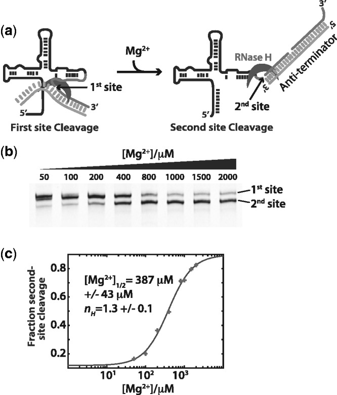 Figure 5.