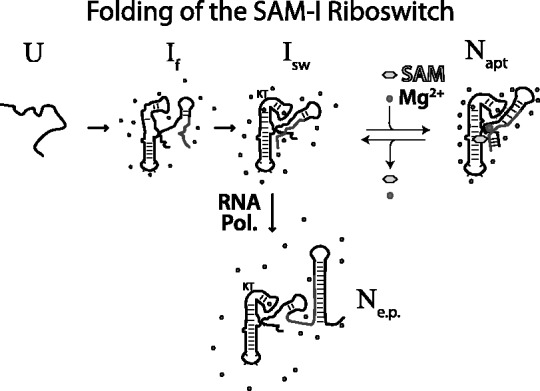 Figure 9.