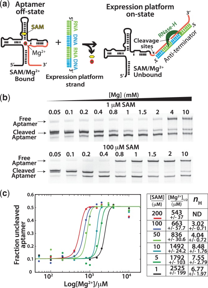 Figure
4.