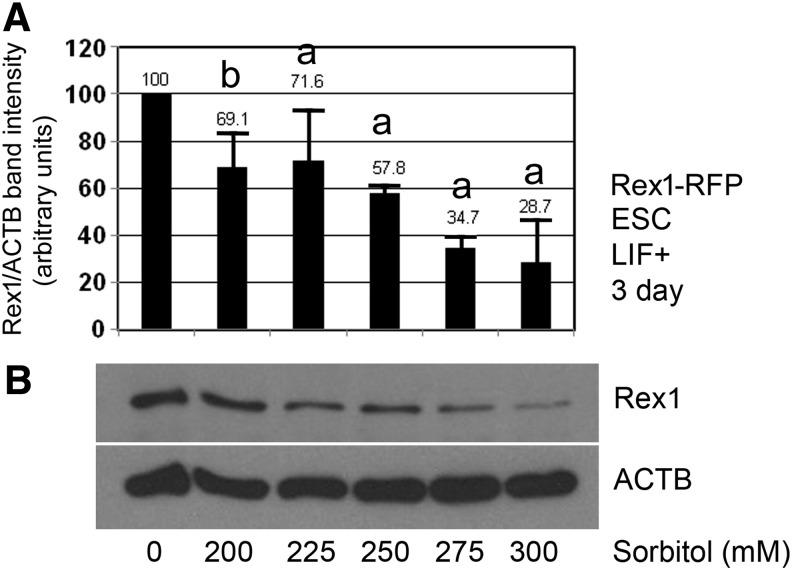 FIG. 5.