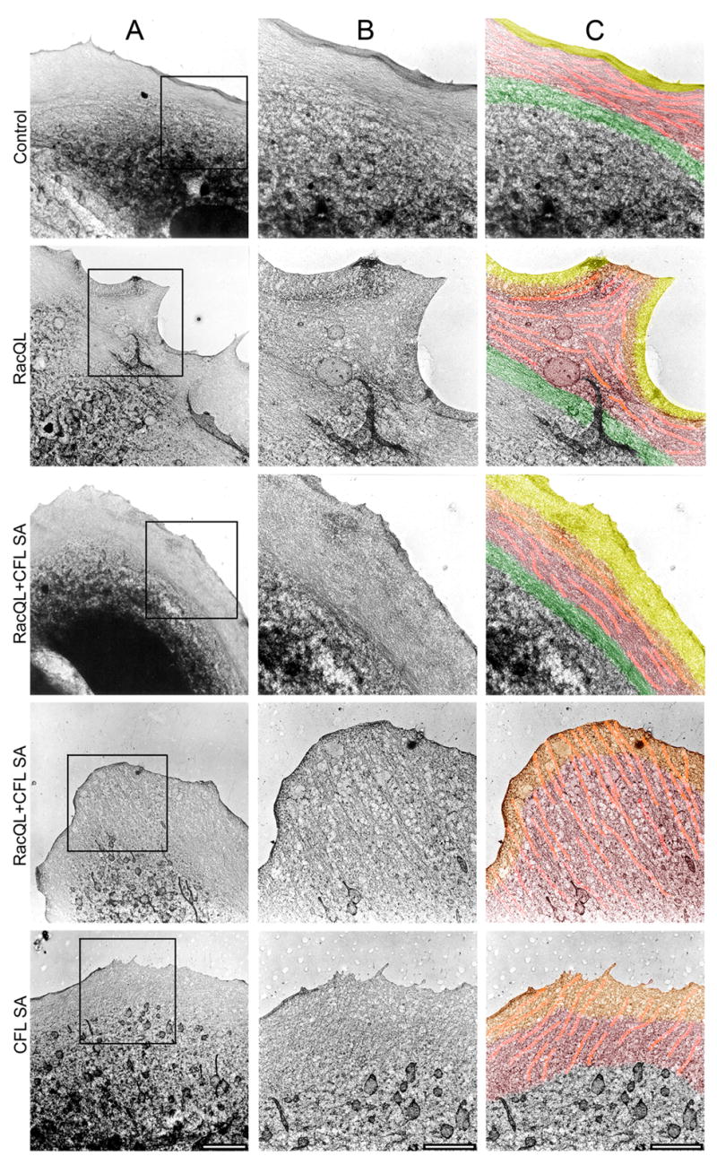 Fig. 8